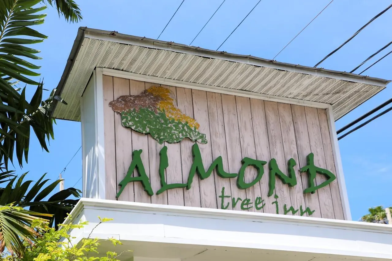 Hotel Almond Tree Inn - Adults Only Key West