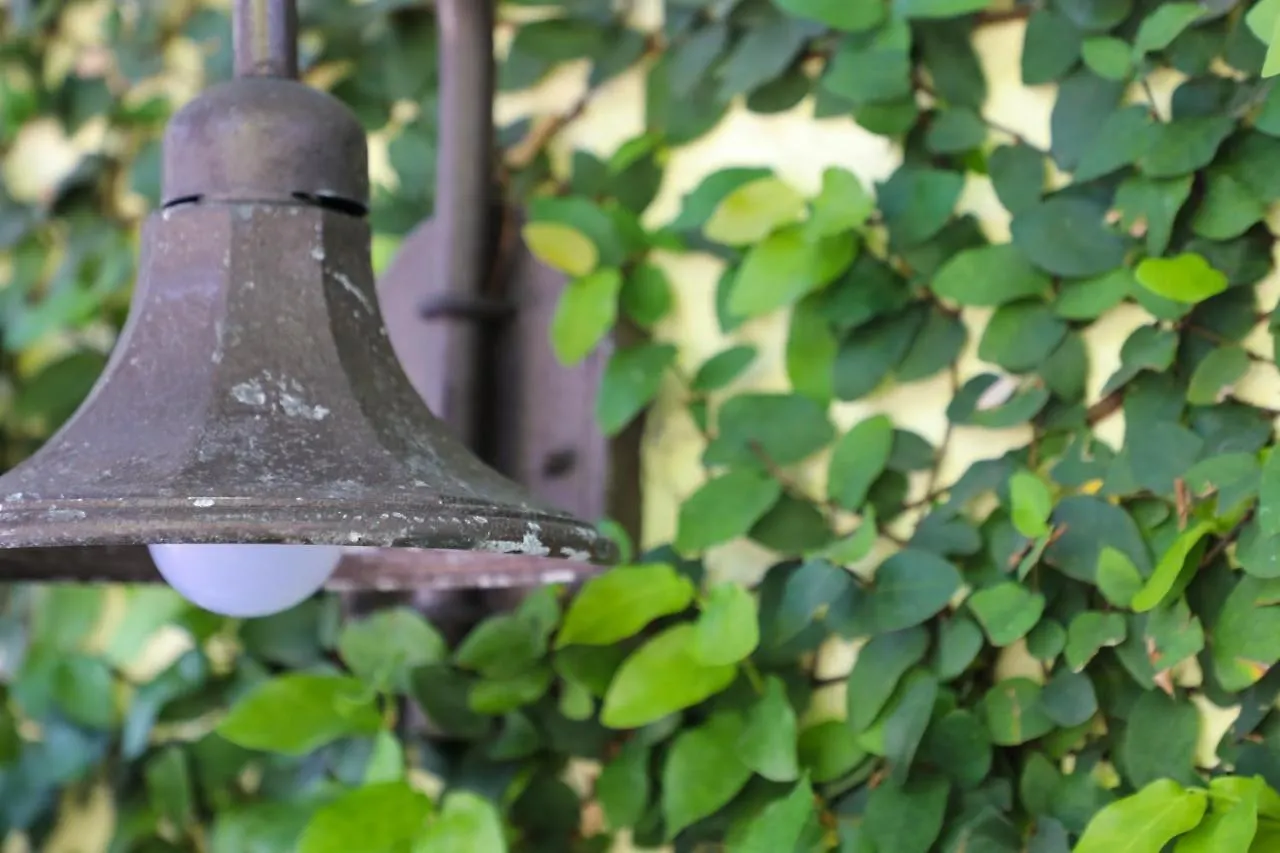 Almond Tree Inn - Adults Only Key West