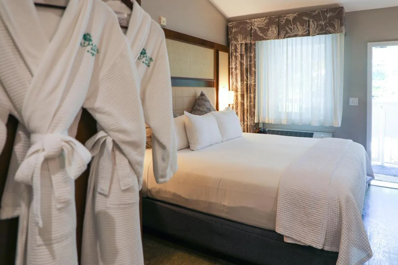 Almond Tree Inn - Adults Only Key West Hotel