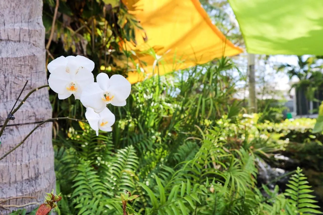 Almond Tree Inn - Adults Only Cayo Hueso Hotel